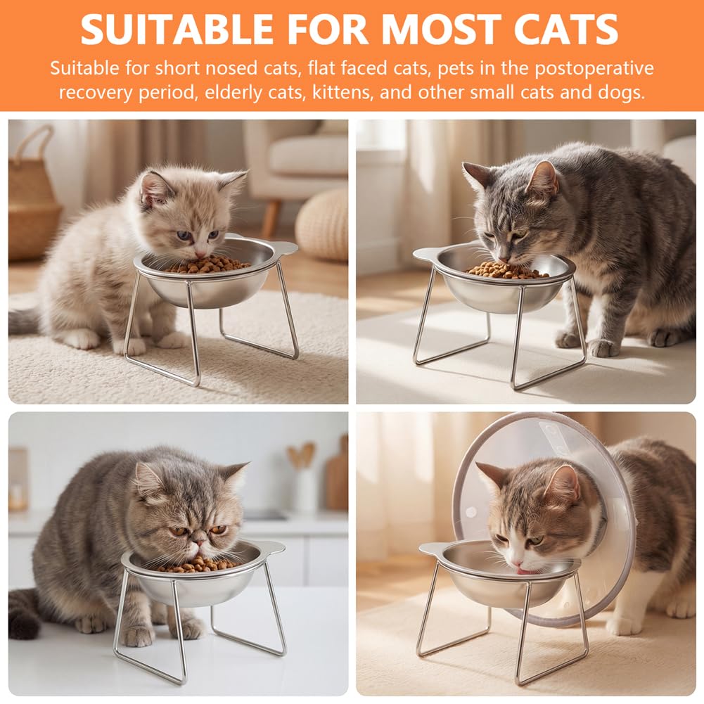 2 Pack Stainless Steel Elevated Cat Bowls P9443