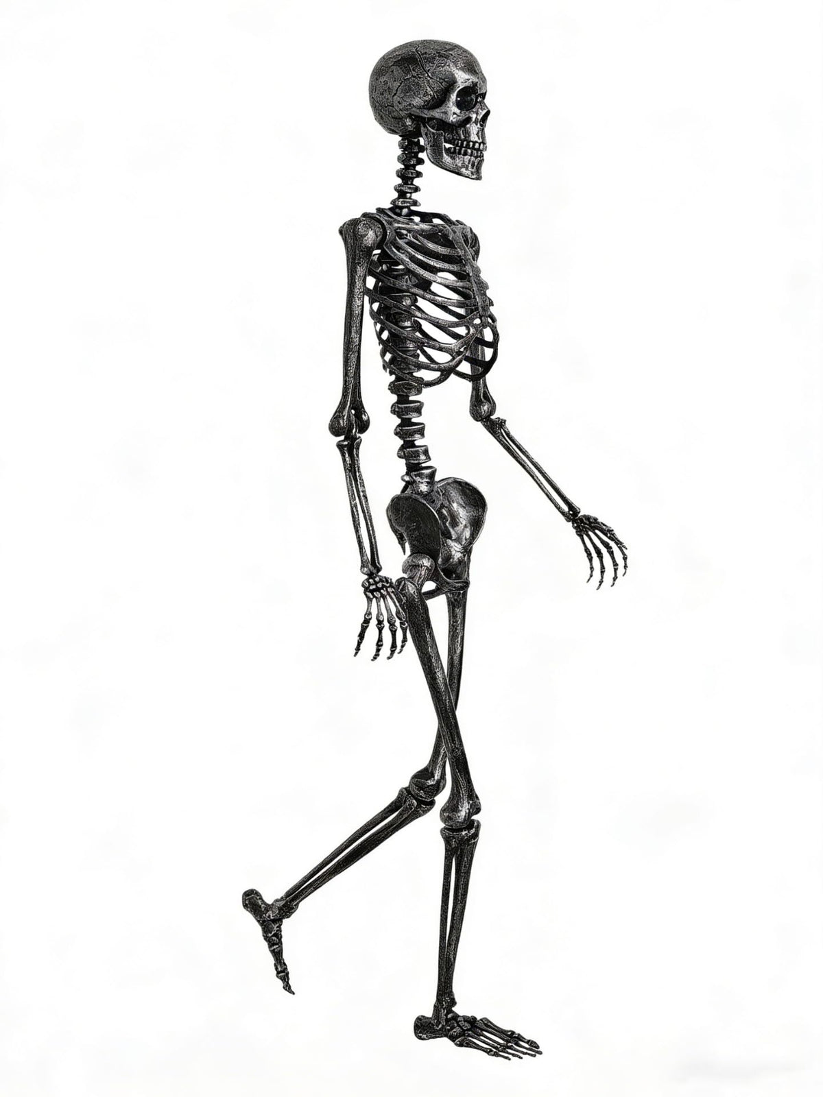 5 FT Posable Black Skeleton T7894