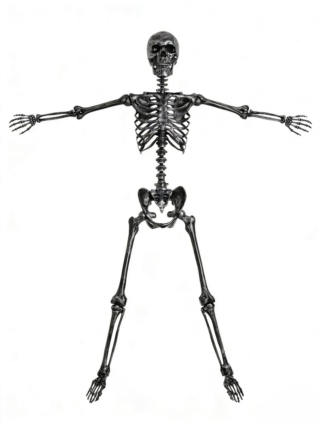 5 FT Posable Black Skeleton T7894