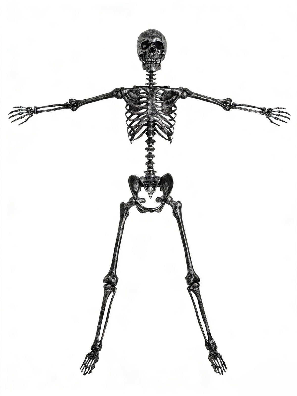 5 FT Posable Black Skeleton T7894