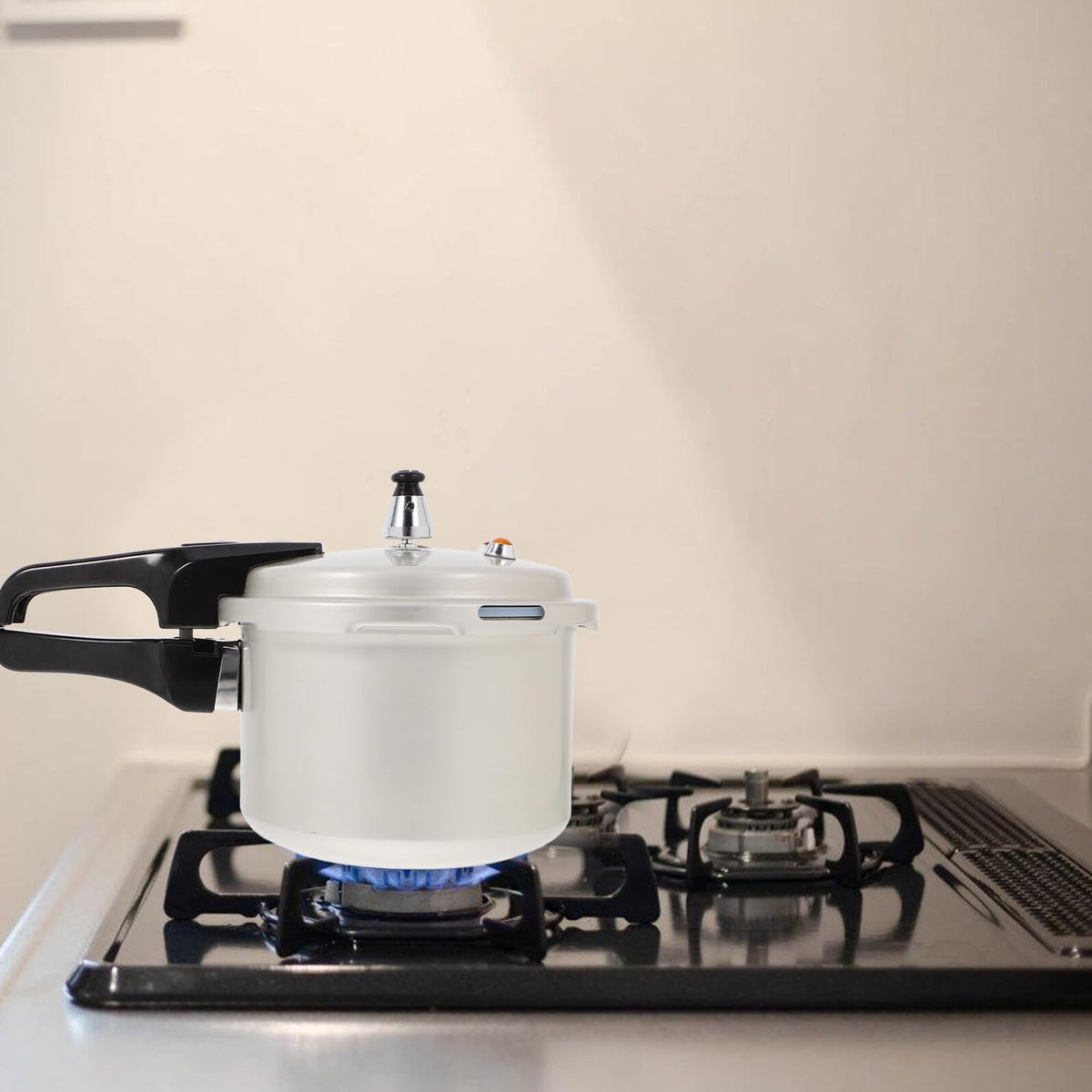 Pressure Cooker 3l Aluminum Pot with Handle R6934