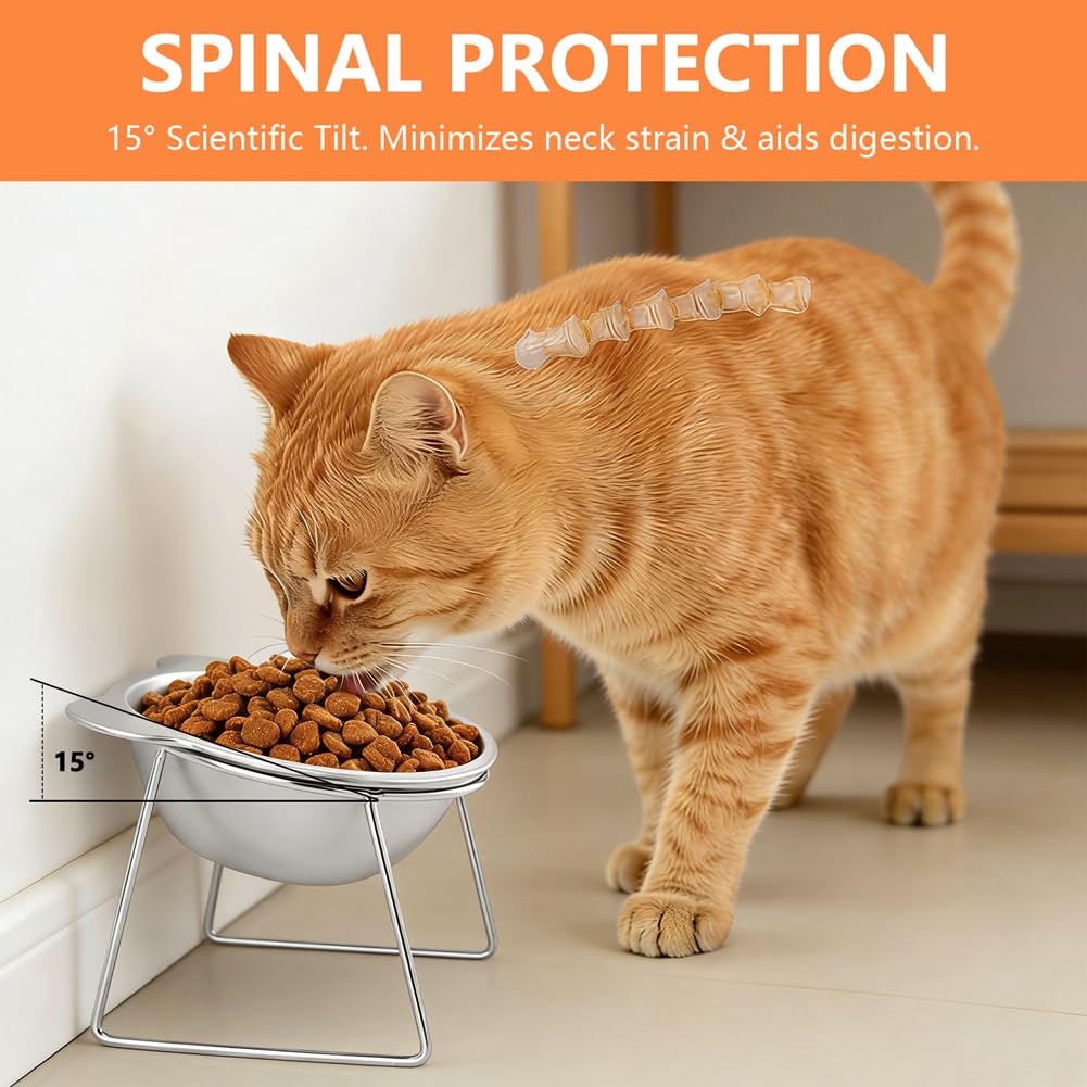2 Pack Stainless Steel Elevated Cat Bowls P9443