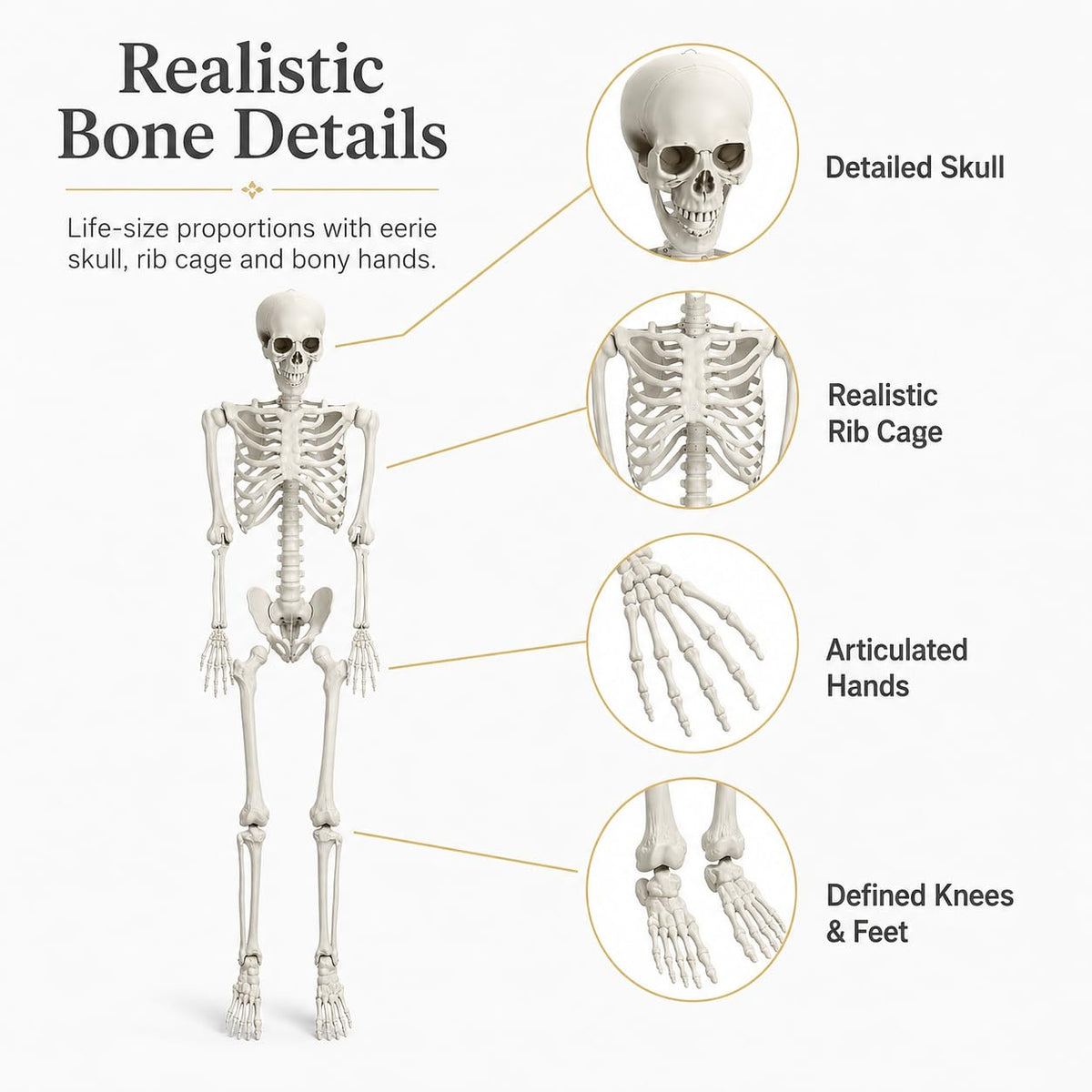 5.4 FT Poseable Skeleton S767453