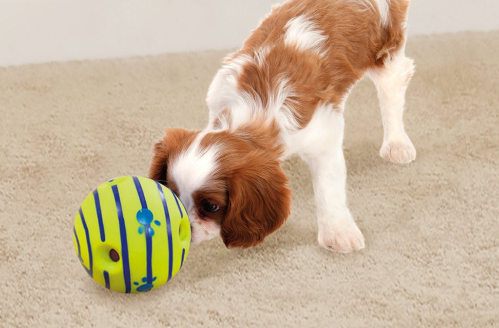 Interactive Dog Toy J42816