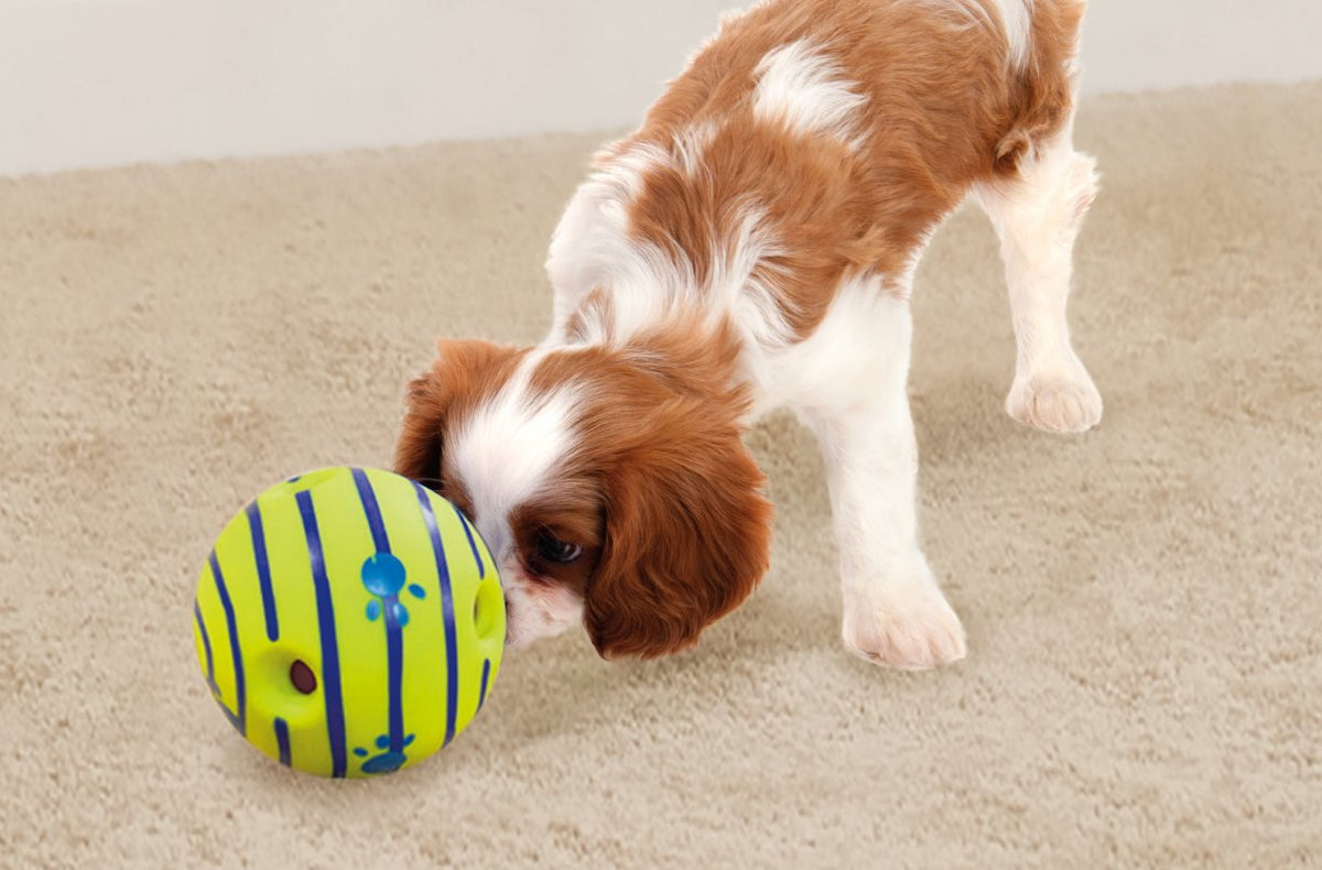 Interactive Dog Toy J42816