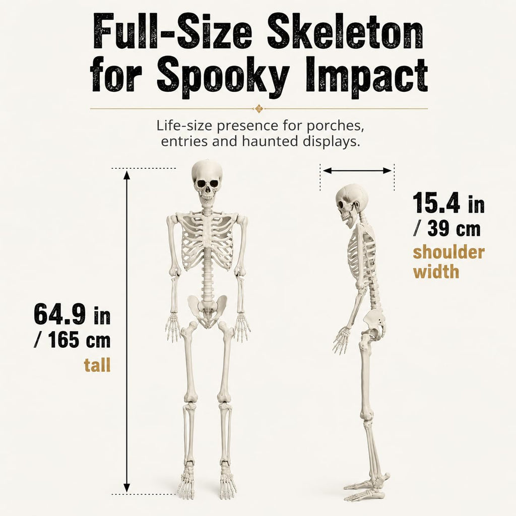 5.4 FT Poseable Skeleton S767453