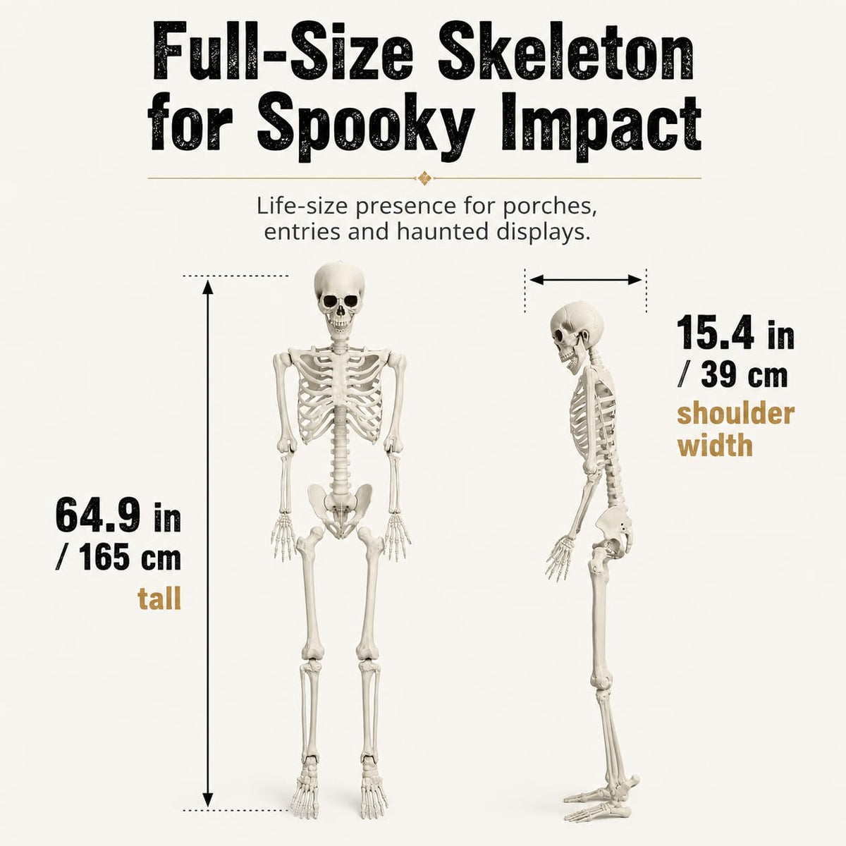 5.4 FT Poseable Skeleton S767453