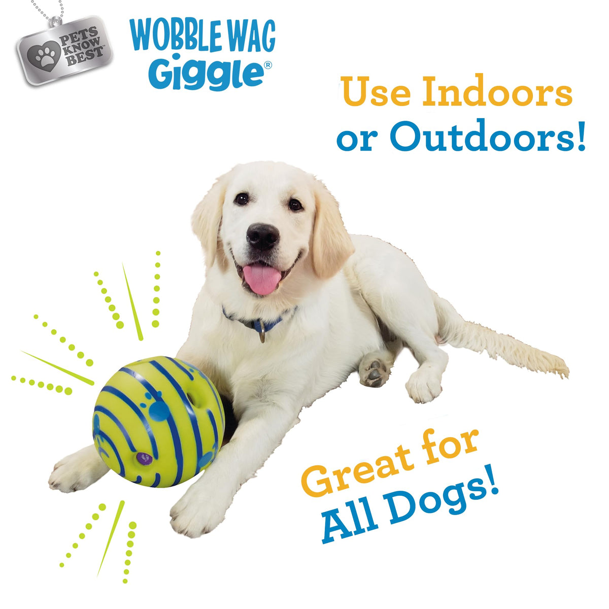 Interactive Dog Toy J42816