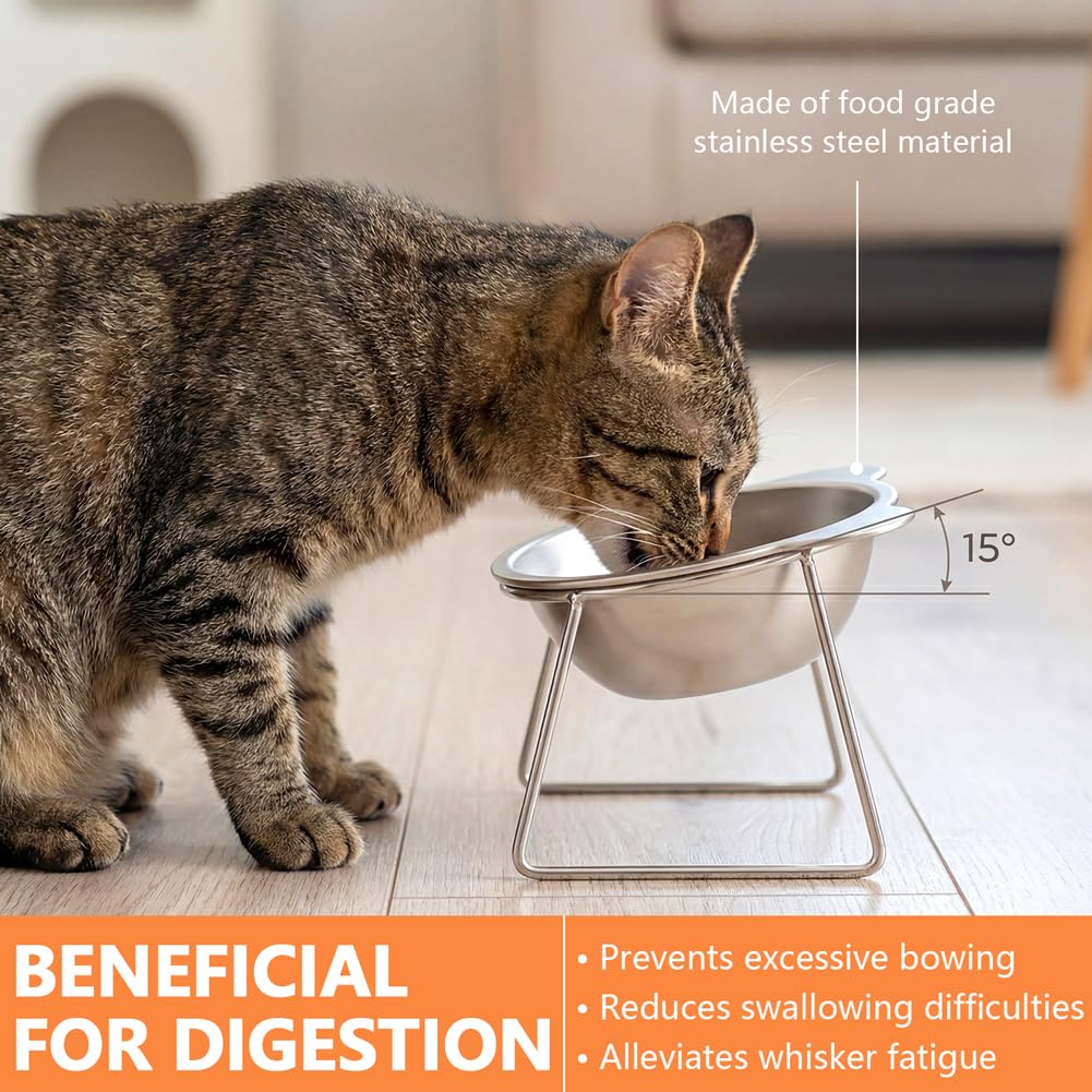 2 Pack Stainless Steel Elevated Cat Bowls P9443