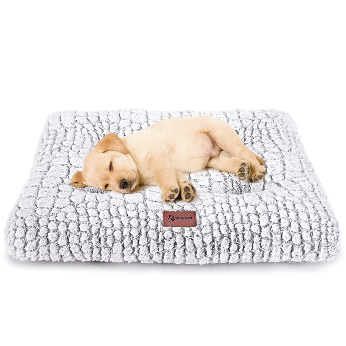 White Dog Crate Pad 24"x18" I27937