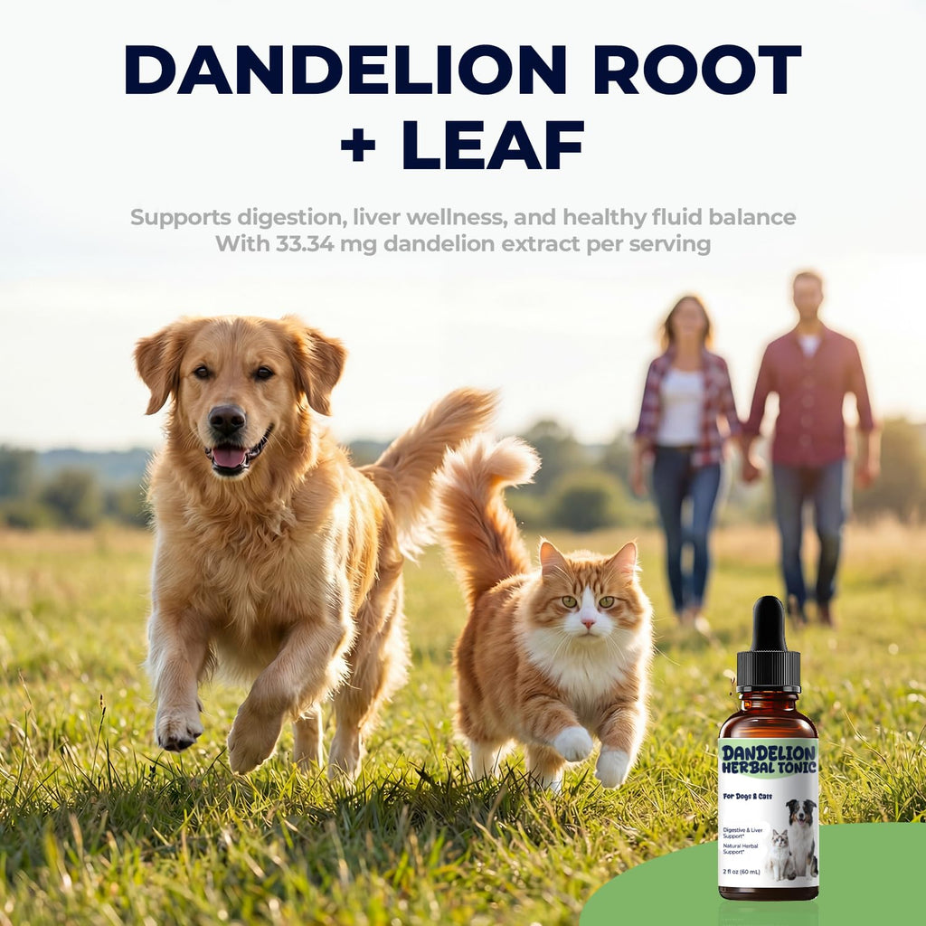 Dandelion Root & Leaf Extract Drops M961744
