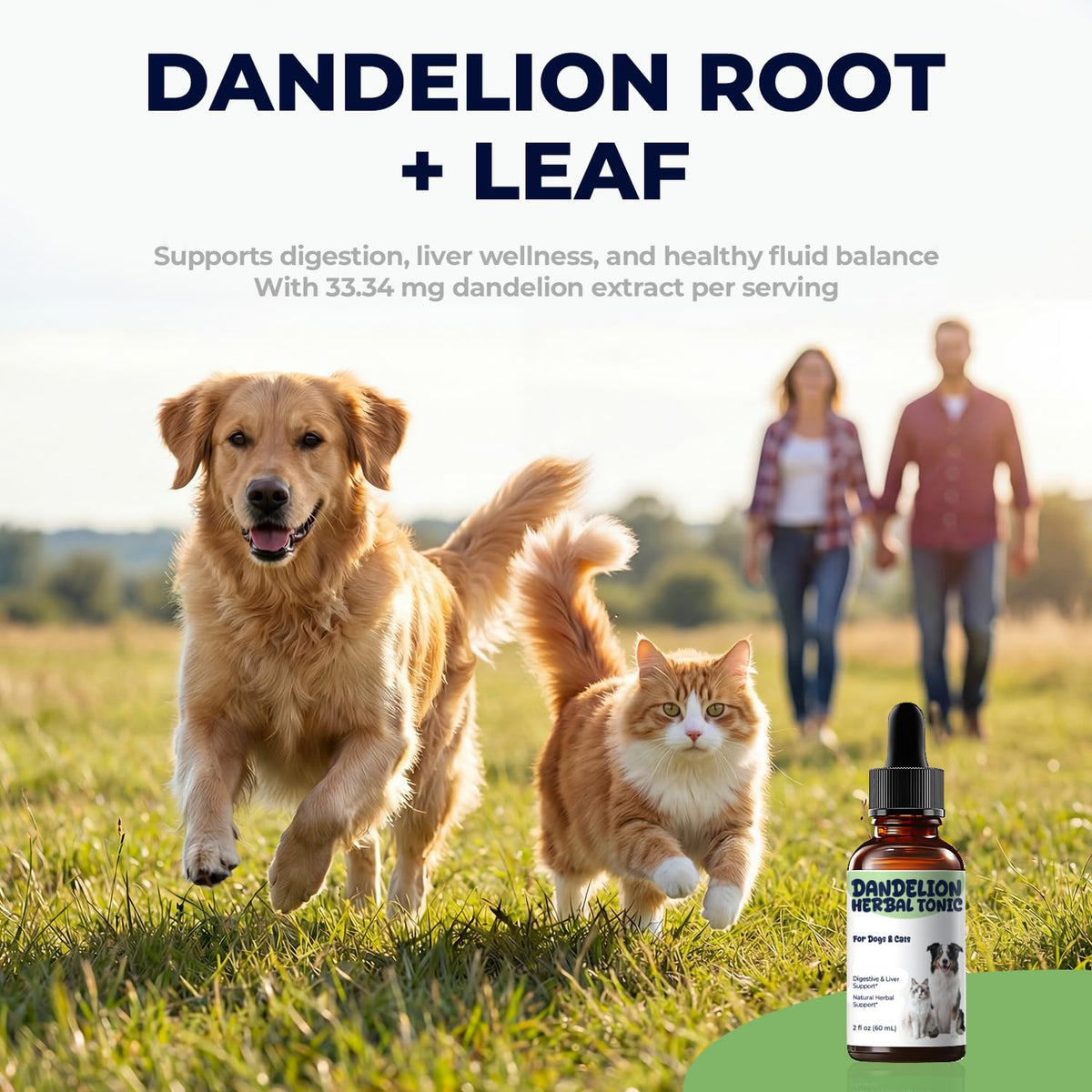 Dandelion Root & Leaf Extract Drops M961744