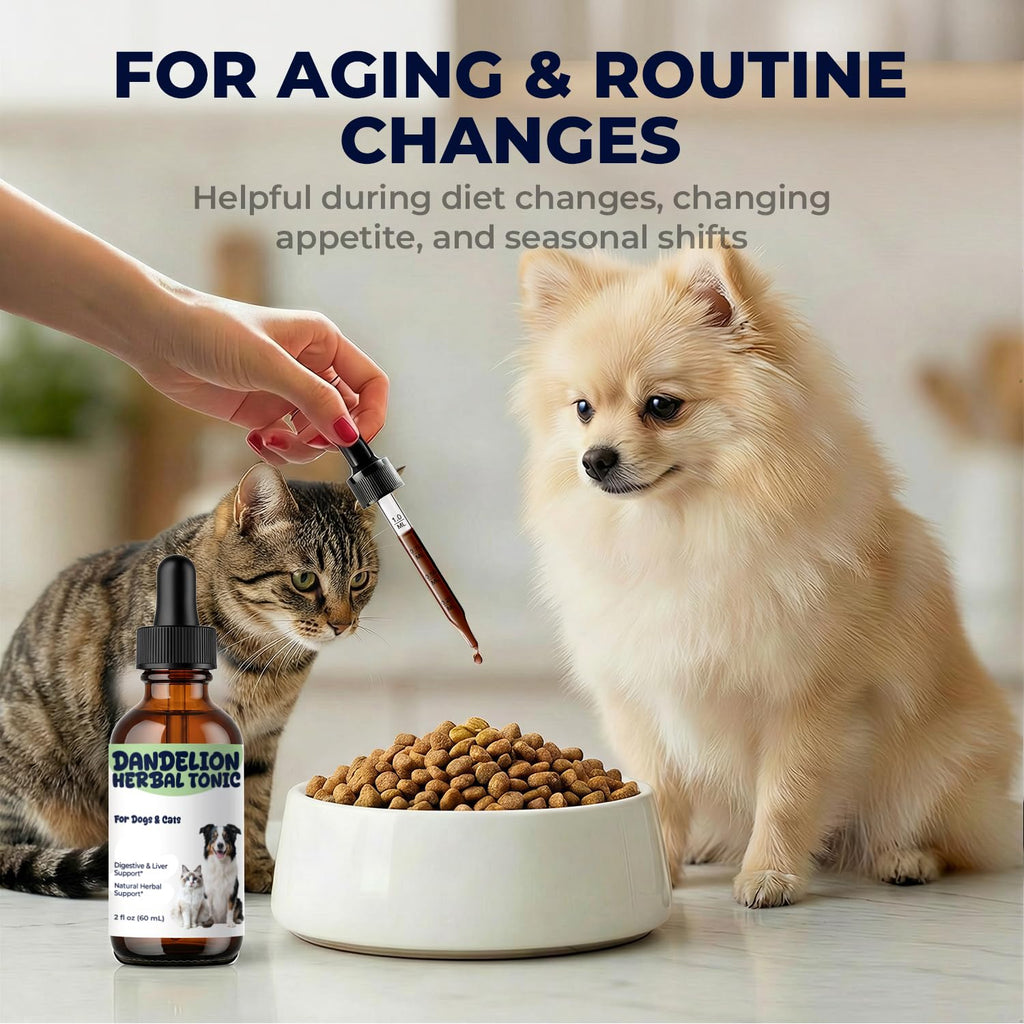 Dandelion Root & Leaf Extract Drops M961744