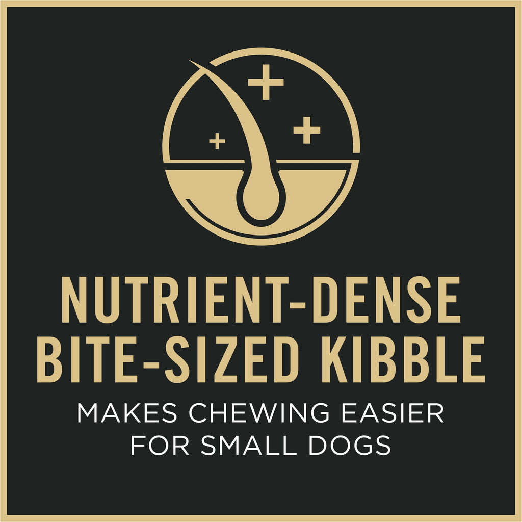 Senior Small Breed Dog Food 6 lb Bag A2775