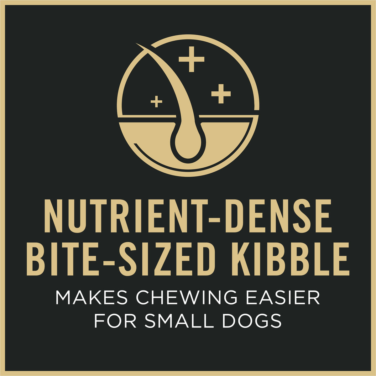 Senior Small Breed Dog Food 6 lb Bag A2775