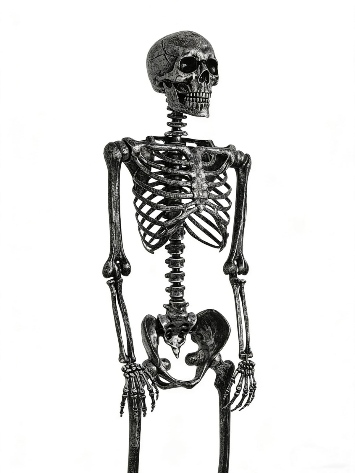 5 FT Posable Black Skeleton T7894