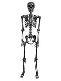 5 FT Posable Black Skeleton T7894