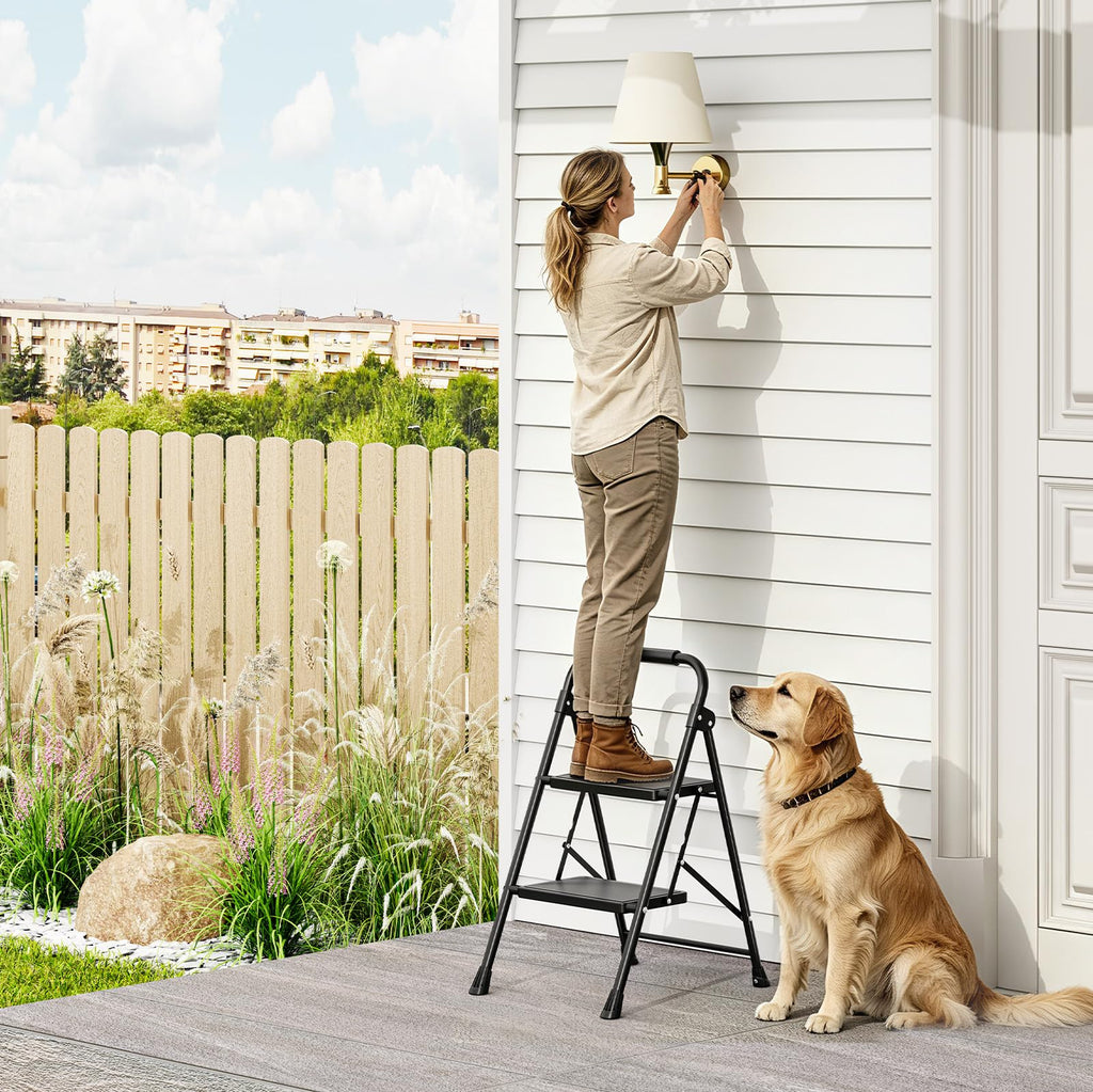2 Step Folding Step Stool with Handrail Black Z16982