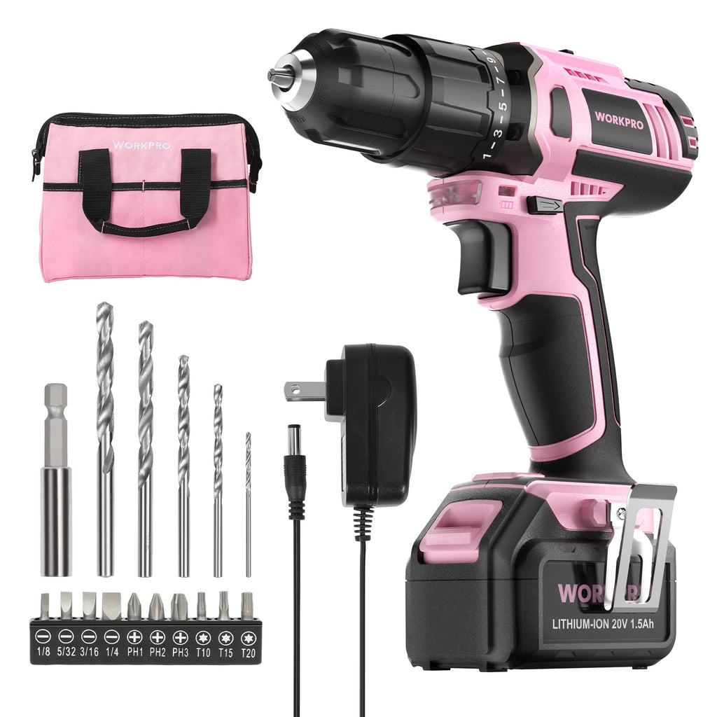 20V Cordless Drill Driver Set D5790