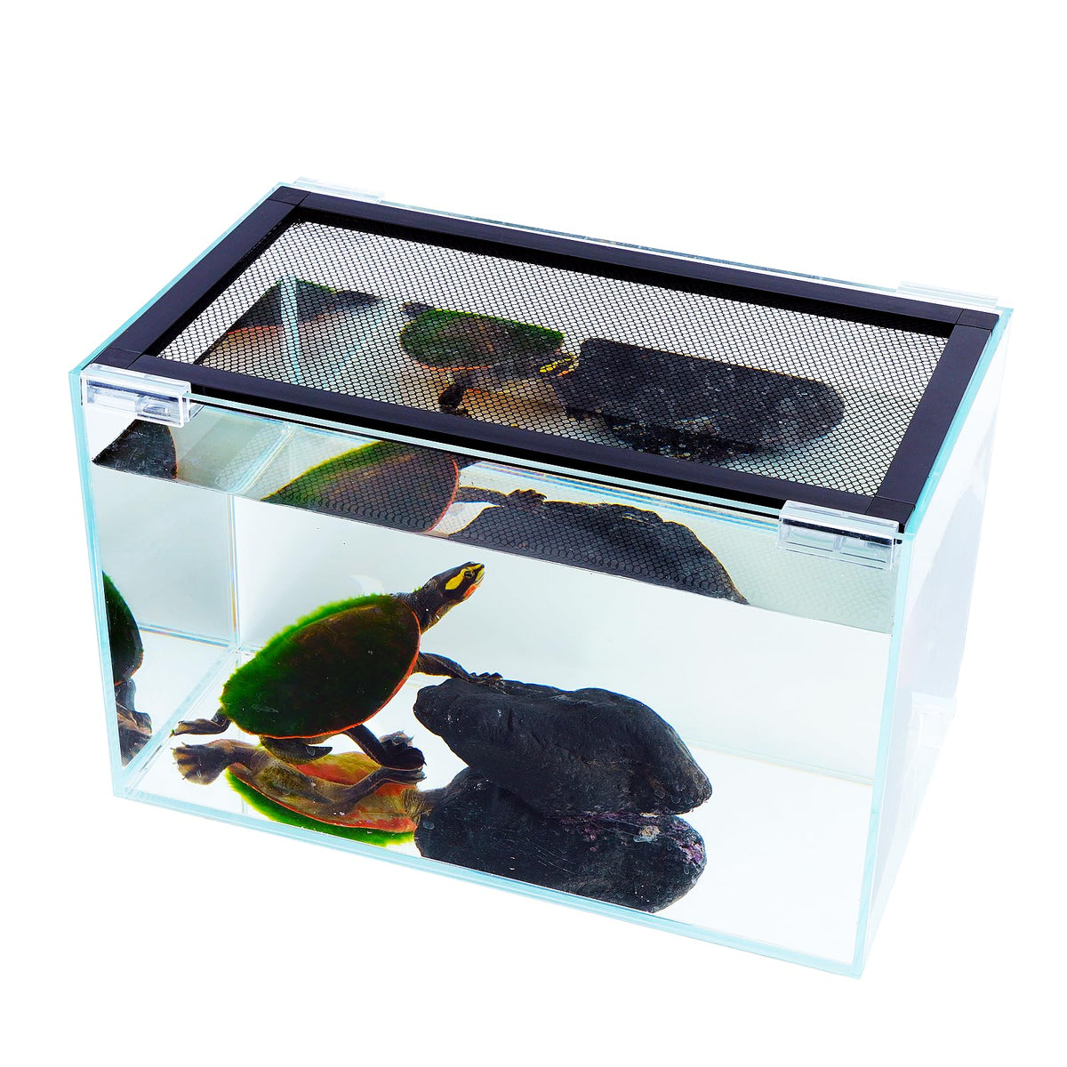 Adjustable Mesh Aquarium Lid S595