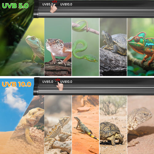 22'' 24W T5 UVB Reptile Light Combo Kit R717682