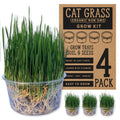 Organic Cat Grass Grow Kit 4 Pack Non GMO Heirloom Seeds L306