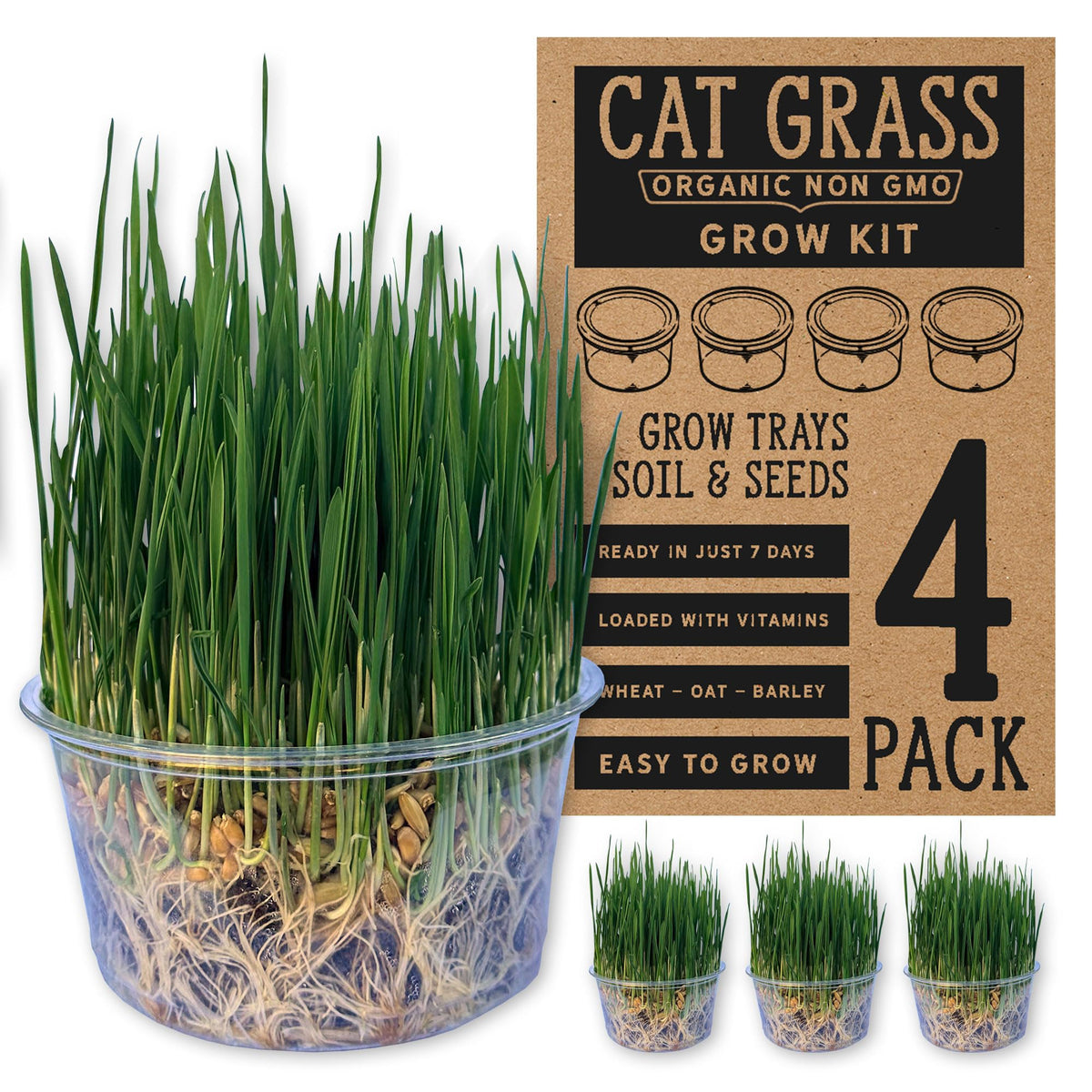 Organic Cat Grass Grow Kit 4 Pack Non GMO Heirloom Seeds L306