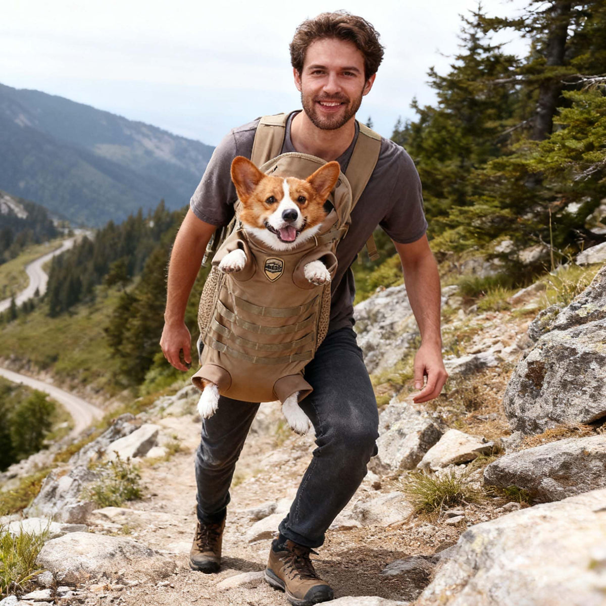 Tactical Dog Backpack Carrier W815232