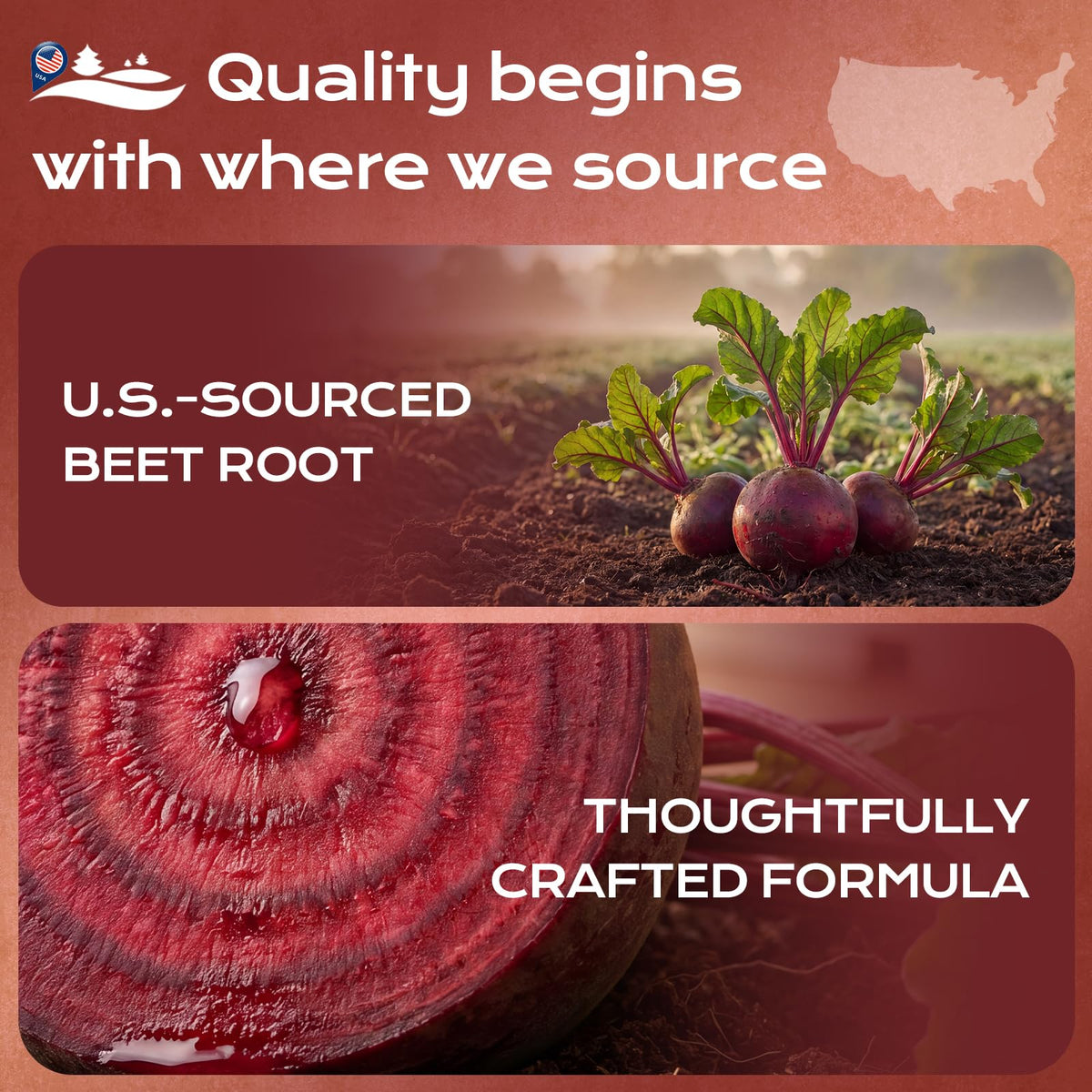 Beet Root Gummies with Grape Seed & CoQ10 Y6994