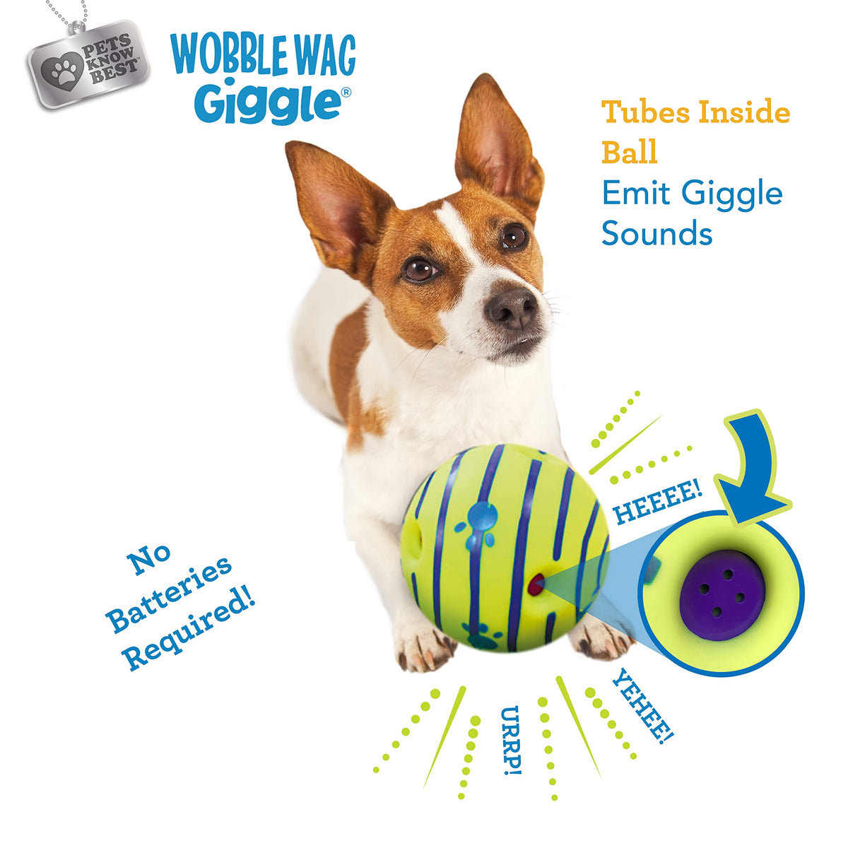 Interactive Dog Toy J42816