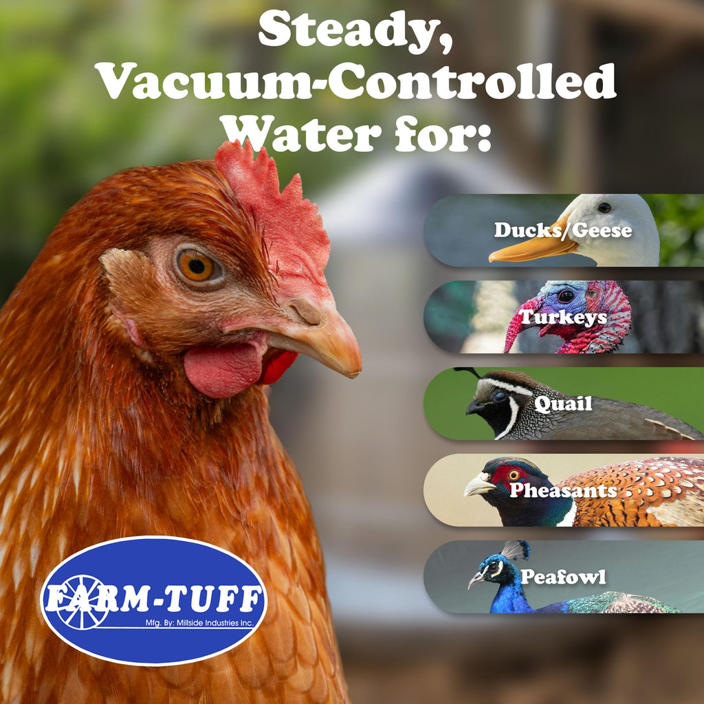 Galvanized 5 Gallon Poultry Waterer M320048