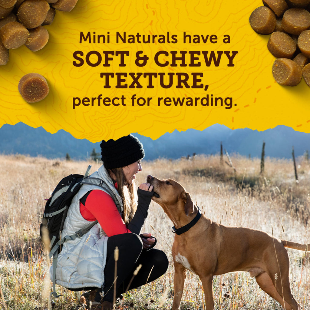 Real Chicken Dog Training Treats 16 oz W60765