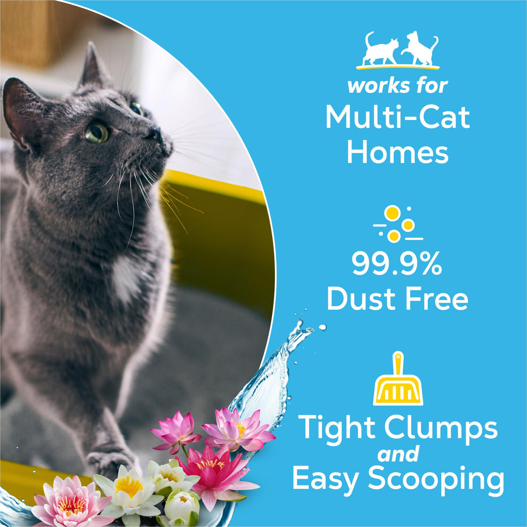 Clumping Cat Litter 38 lb P245650
