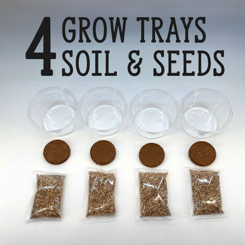 Organic Cat Grass Grow Kit 4 Pack Non GMO Heirloom Seeds L306