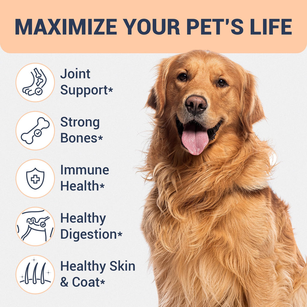 Beef Bone Broth for Dogs A525962
