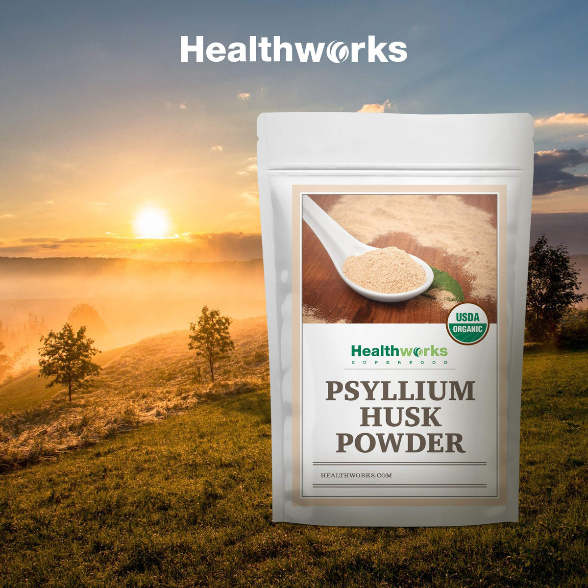 Organic Psyllium Husk Powder 2 lb D2793