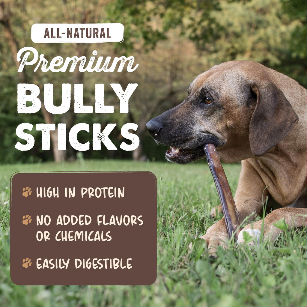 12" Bully Sticks Dog Chew B3892