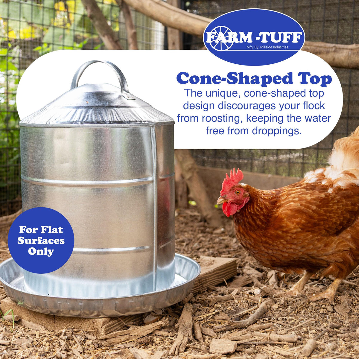 Galvanized 5 Gallon Poultry Waterer M320048